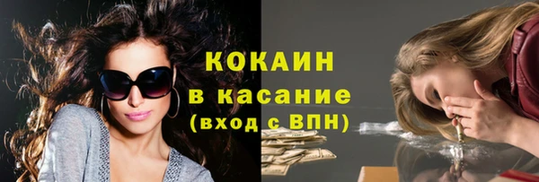 стафф Богородицк