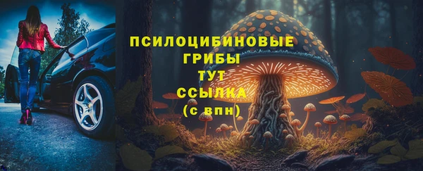 марки lsd Богданович